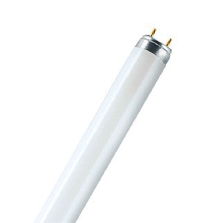 Лампа люминесцентная Philips Master TL-D 90 De Luxe 36W/965 G13 6500K 2800lm